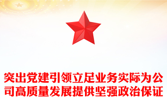 突出党建引领立足业务实际为公司高质量发展提供坚强政治保证