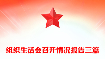 组织生活会召开情况报告三篇