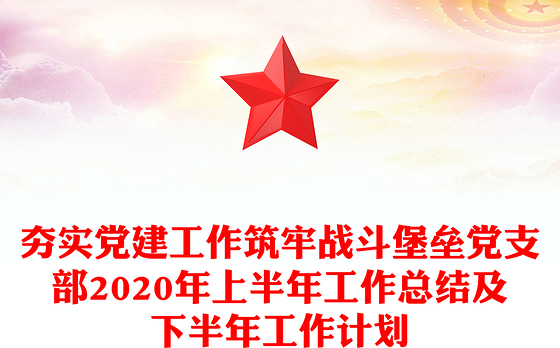 2023党建总结建立党支部