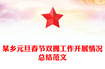 某乡元旦春节双拥工作开展情况总结范文