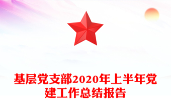 基层党支部2020年上半年党建工作总结报告