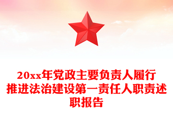 20xx年党政主要负责人履行推进法治建设第一责任人职责述职报告