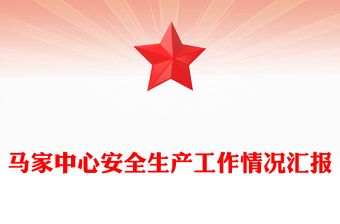 马家中心安全生产工作情况汇报