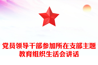 党员领导干部参加所在支部主题教育组织生活会讲话