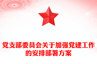 党支部委员会查摆问题