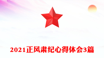 2021正风肃纪心得体会3篇