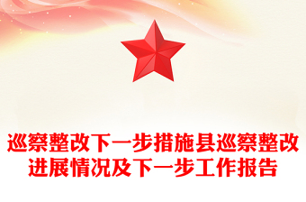 巡察整改下一步措施县巡察整改进展情况及下一步工作报告