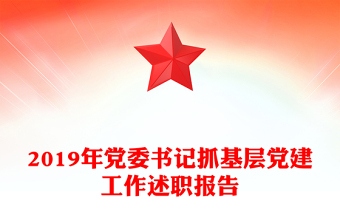 2019年党委书记抓基层党建工作述职报告