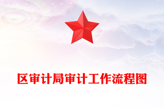 区审计局审计工作流程图