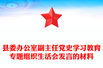 党史组织生活会发言材料