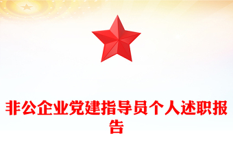 非公企业党建指导员个人述职报告
