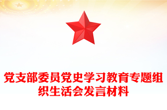 党支部委员党史学习教育专题组织生活会发言材料