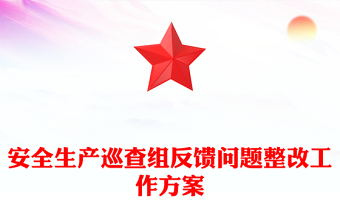 安全生产巡查组反馈问题整改工作方案
