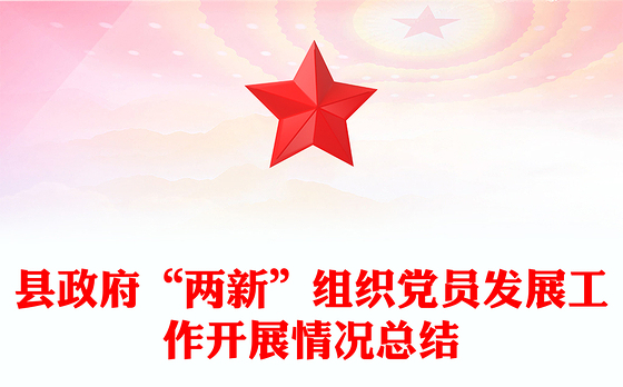 县政府“两新”组织党员发展工作开展情况总结
