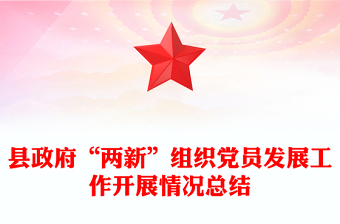 县政府“两新”组织党员发展工作开展情况总结