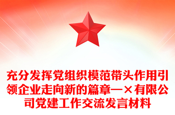 充分发挥党组织模范带头作用引领企业走向新的篇章—×有限公司党建工作交流发言材料