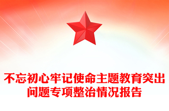 不忘初心牢记使命主题教育突出问题专项整治情况报告