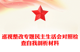 巡视整改专题民主生活会对照检查自我剖析材料