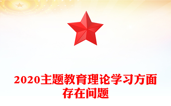 2020主题教育理论学习方面存在问题