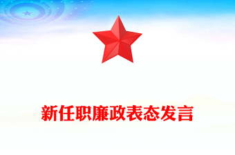 新任职廉政表态发言