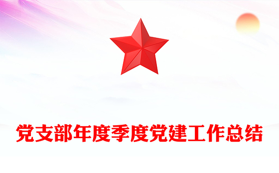 2023党支部党建检查总结