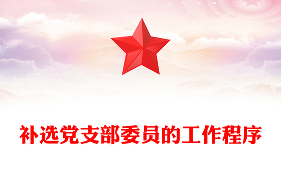 补选党支部委员的工作程序