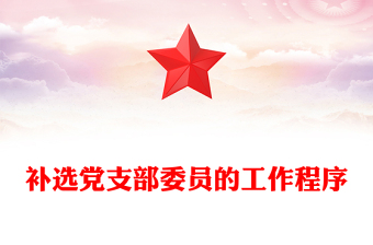 补选党支部委员的工作程序