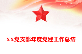 XX党支部年度党建工作总结