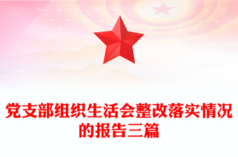 党支部组织生活会整改落实情况的报告三篇