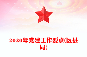 2020年党建工作要点(区县局)