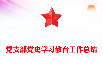 党支部党史学习教育工作总结