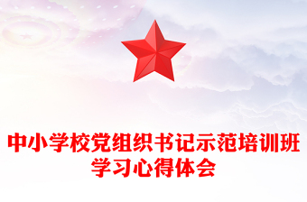 中小学校党组织书记示范培训班学习心得体会