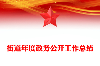 街道年度政务公开工作总结