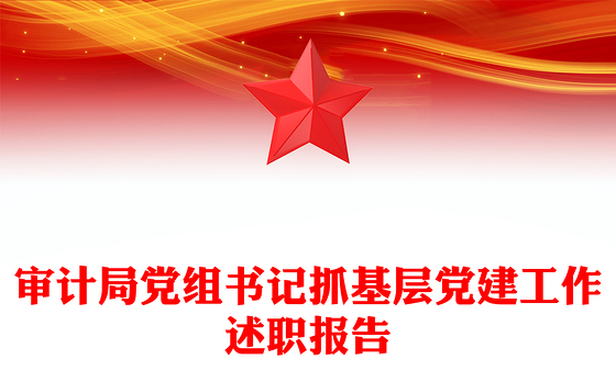 审计局党组书记抓基层党建工作述职报告