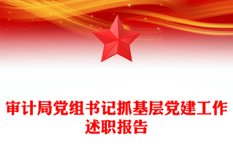 审计局党组书记抓基层党建工作述职报告