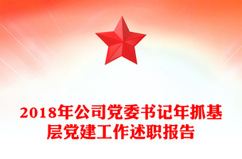 2018年公司党委书记年抓基层党建工作述职报告