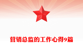 营销总监的工作心得9篇