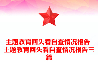 主题教育回头看自查情况报告 主题教育回头看自查情况报告三篇