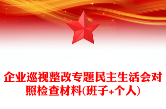 企业巡视整改专题民主生活会对照检查材料(班子+个人)