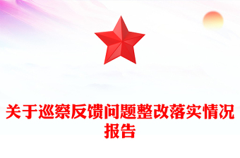 关于巡察反馈问题整改落实情况报告