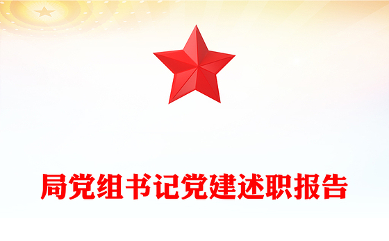 局党组书记党建述职报告