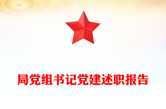 局党组书记党建述职报告