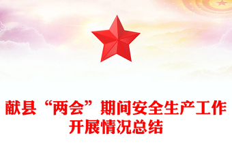 县“两会”期间安全生产工作开展情况总结