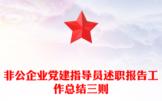 非公企业党建指导员述职报告工作总结三则