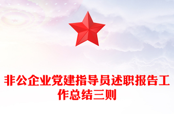 非公企业党建指导员述职报告工作总结三则