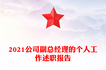 2021公司副总经理的个人工作述职报告