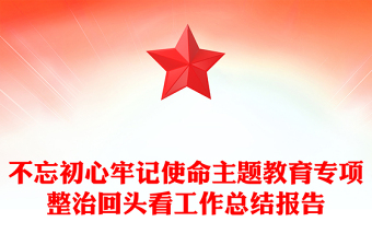 不忘初心牢记使命主题教育专项整治回头看工作总结报告