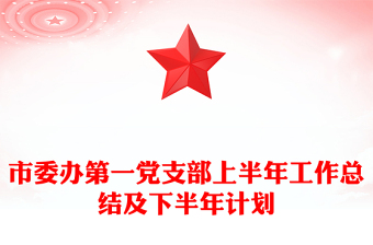 市委办第一党支部上半年工作总结及下半年计划