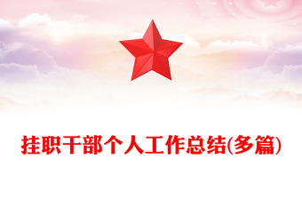 挂职干部个人工作总结(多篇)