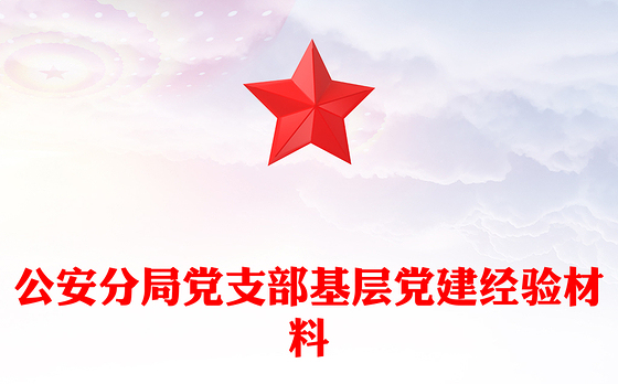 公安分局党支部基层党建经验材料